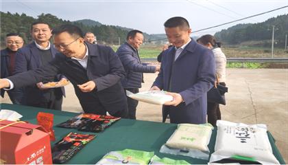 市委常委、政法委書記劉波濤帶隊調(diào)研指導(dǎo)定點幫扶村鄉(xiāng)村振興工作